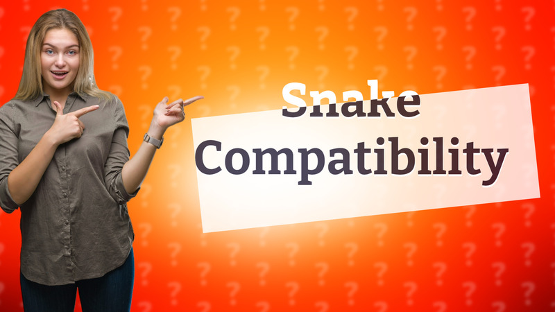 Snake Compatibility