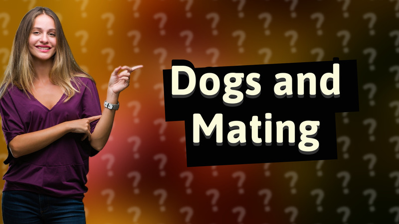 Dogs and Mating