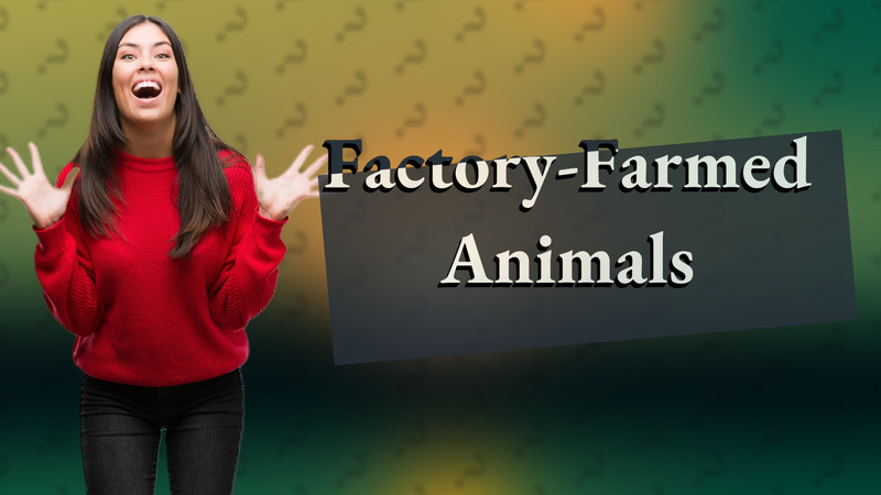 Factory-Farmed Animals
