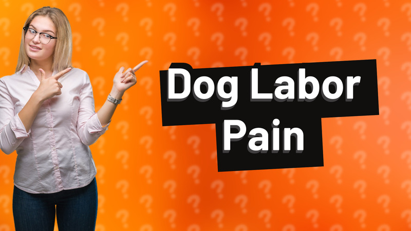 Dog Labor Pain