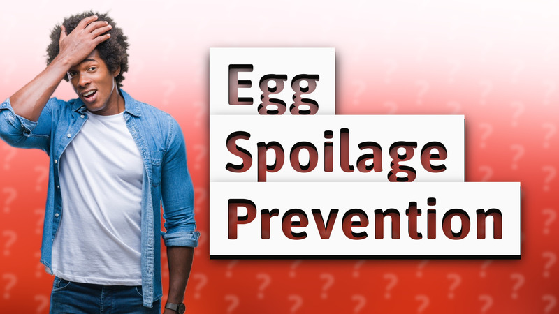 Egg Spoilage Prevention