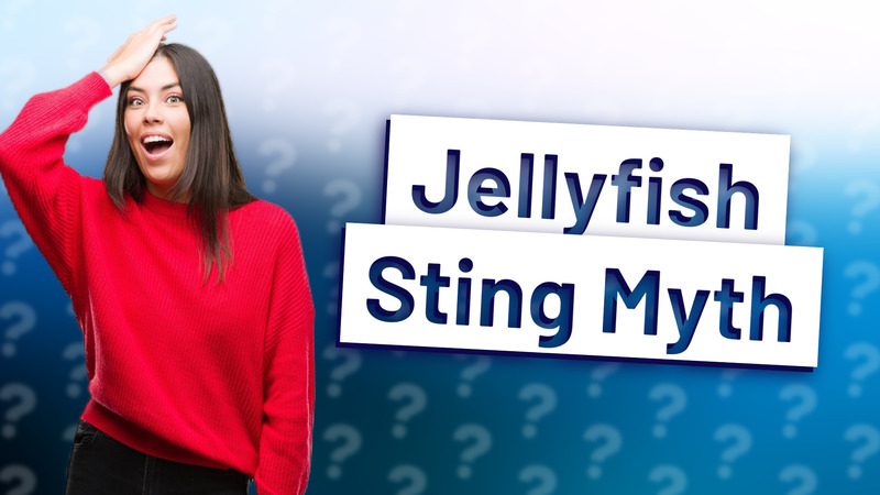 Jellyfish Sting Myth