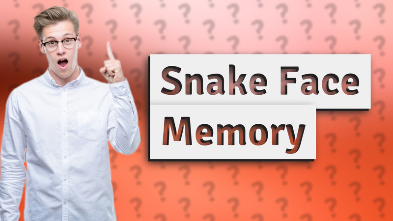 Snake Face Memory