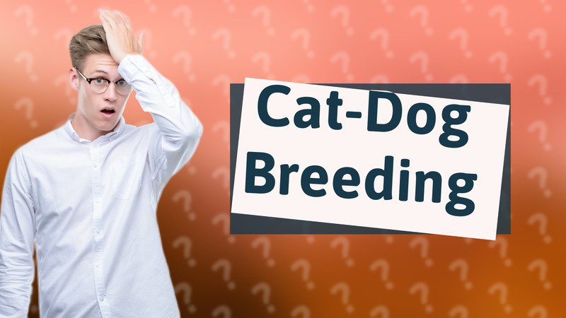 Cat-Dog Breeding
