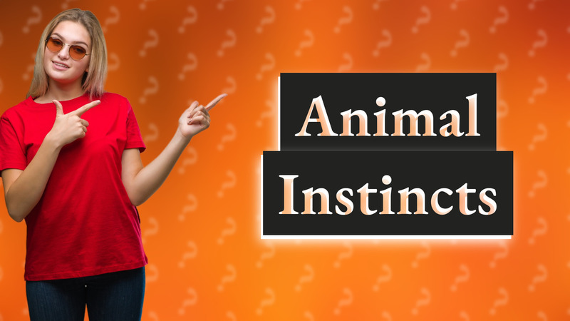 Animal Instincts