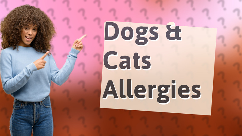 Dogs & Cats Allergies