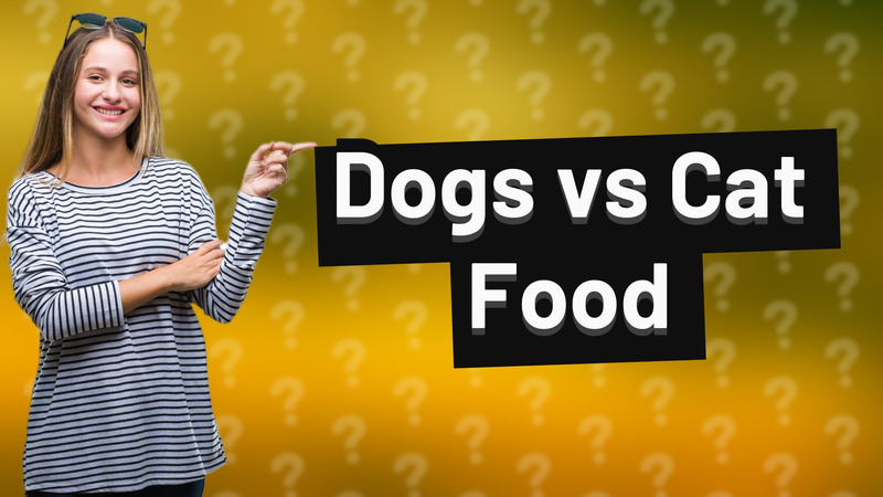 Dogs vs Cat Food
