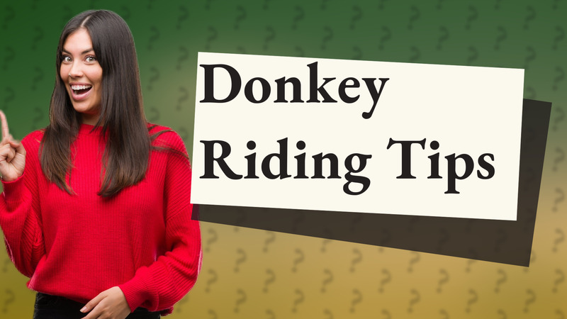 Donkey Riding Tips