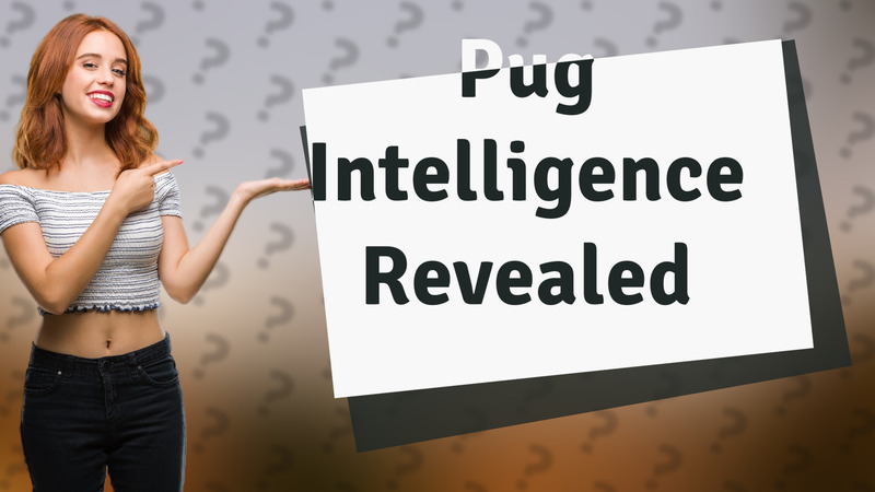 Pug Intelligence Revealed