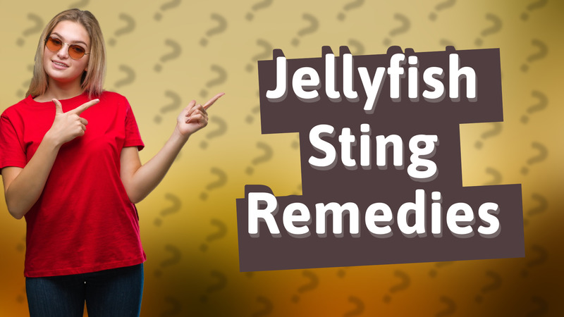 Jellyfish Sting Remedies
