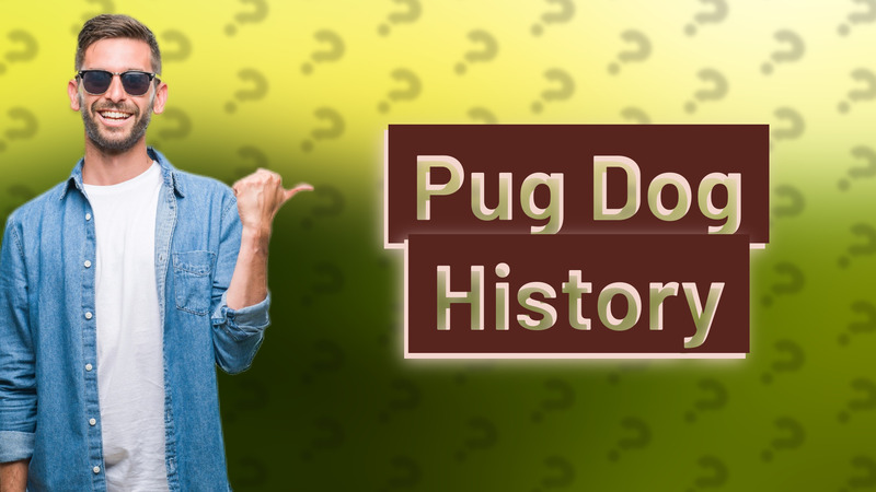 Pug Dog History