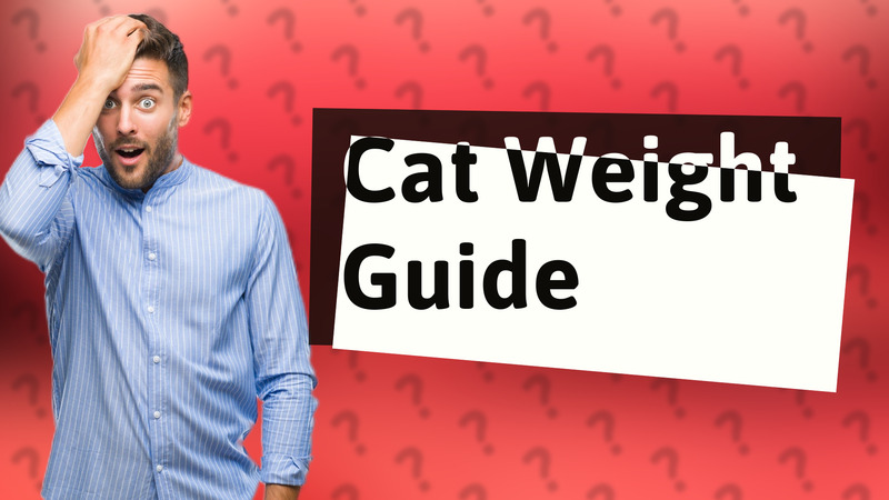 Cat Weight Guide