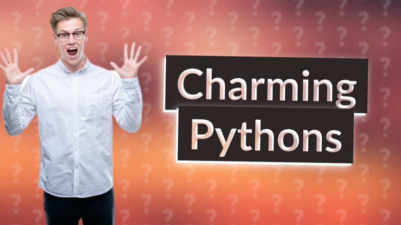 Charming Pythons