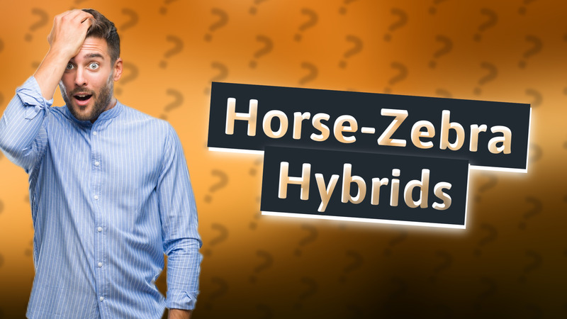Horse-Zebra Hybrids