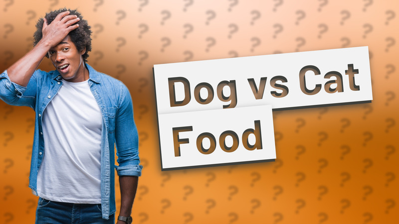 Dog vs Cat Food