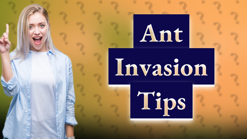 Ant Invasion Tips
