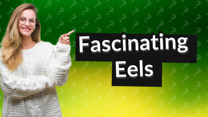 Fascinating Eels
