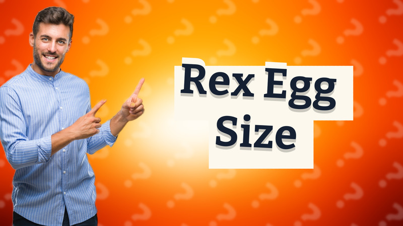 Rex Egg Size