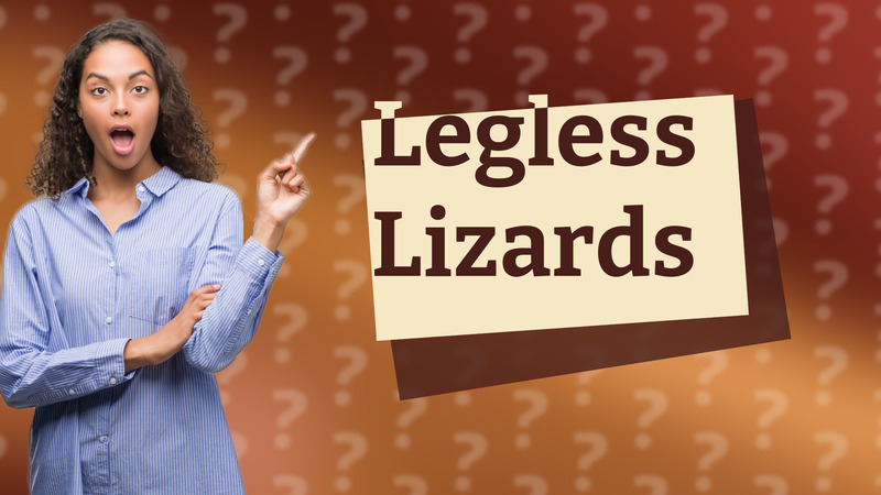 Legless Lizards