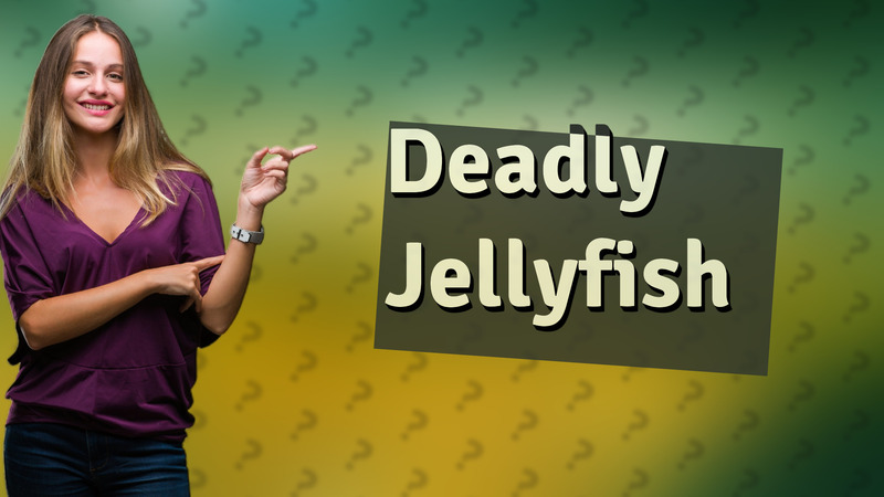 Deadly Jellyfish