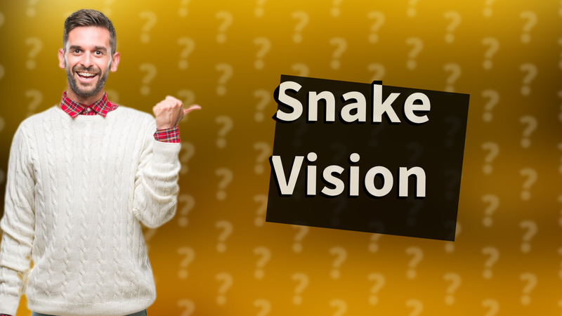 Snake Vision