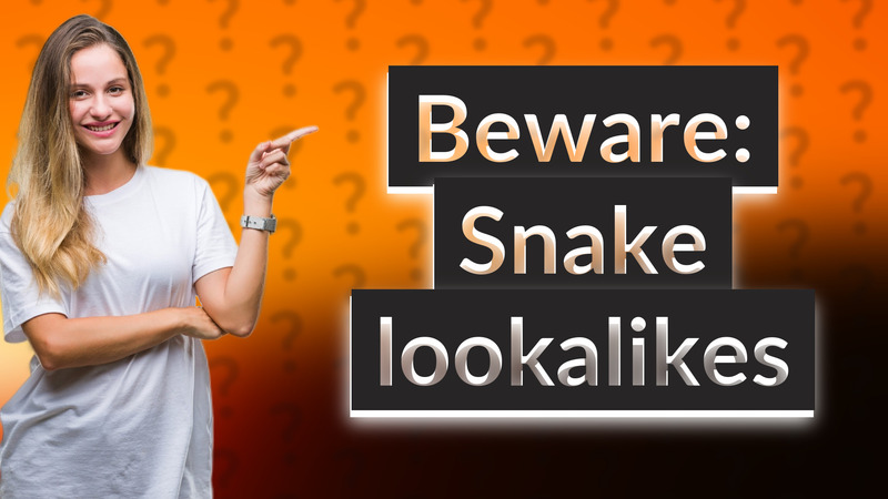 Beware: Snake lookalikes