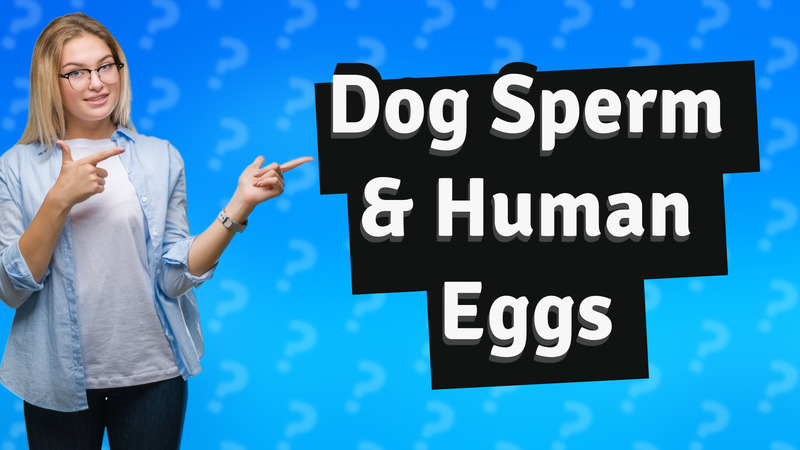 Dog Sperm & Human Eggs