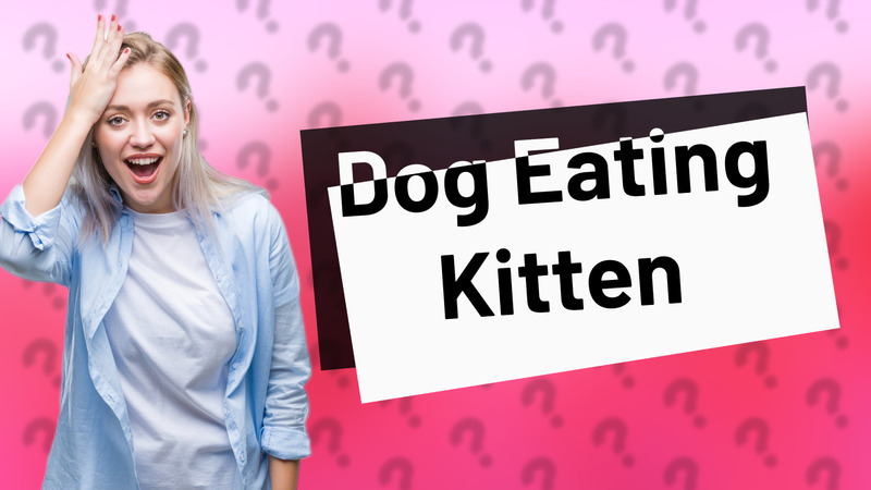 Dog Eating Kitten