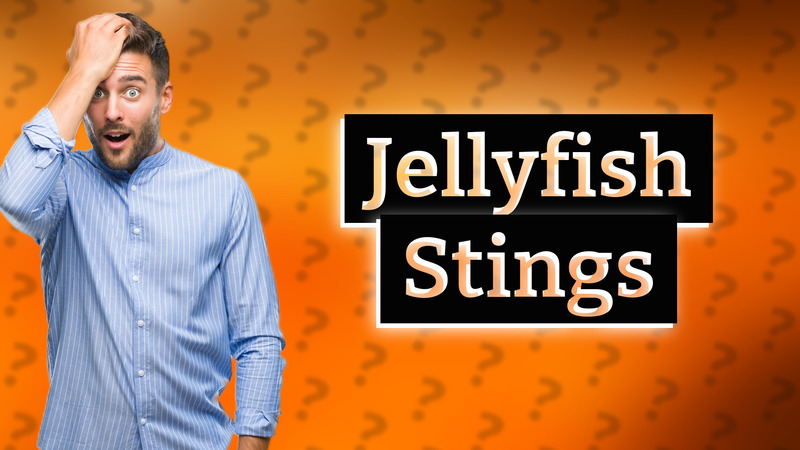 Jellyfish Stings