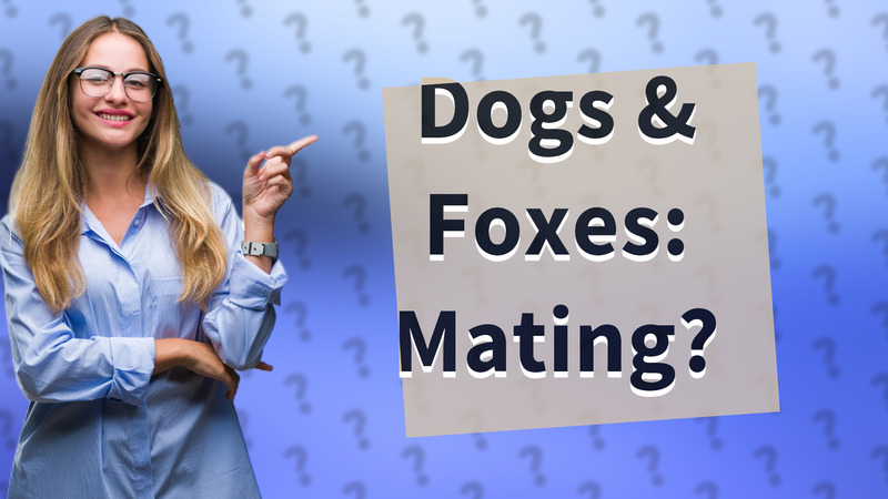 Dogs & Foxes: Mating?