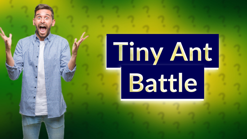 Tiny Ant Battle