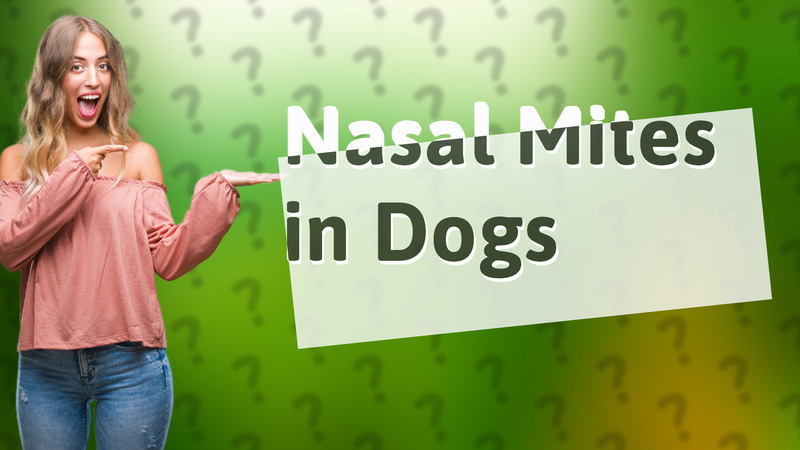 Nasal Mites in Dogs