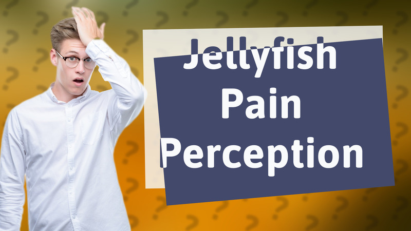 Jellyfish Pain Perception