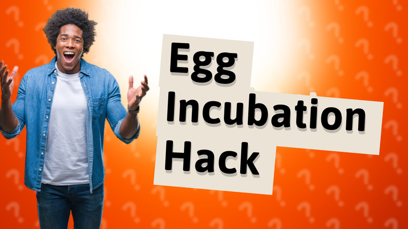 Egg Incubation Hack