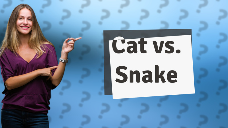 Cat vs. Snake