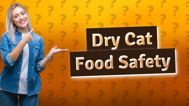 Dry Cat Food Safety