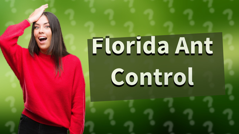 Florida Ant Control