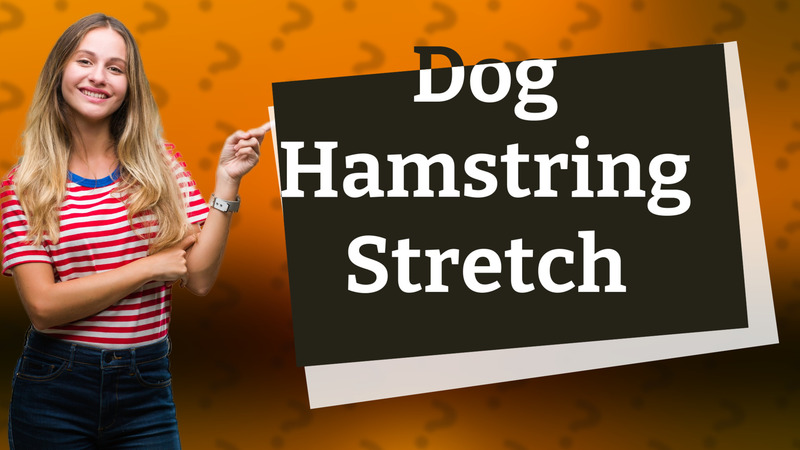 Dog Hamstring Stretch