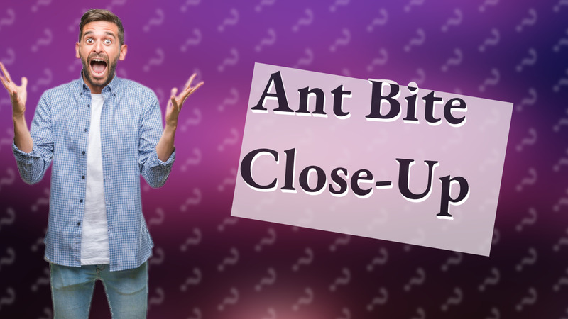 Ant Bite Close-Up