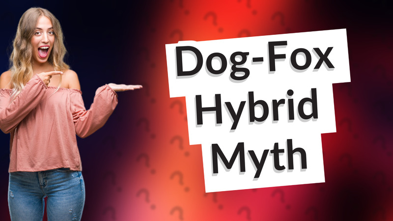 Dog-Fox Hybrid Myth