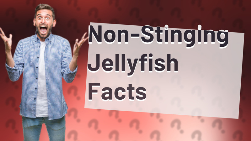 Non-Stinging Jellyfish Facts
