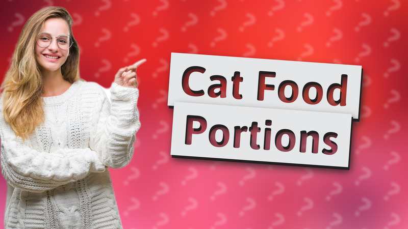 Cat Food Portions