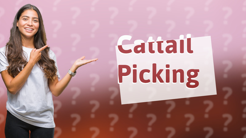 Cattail Picking