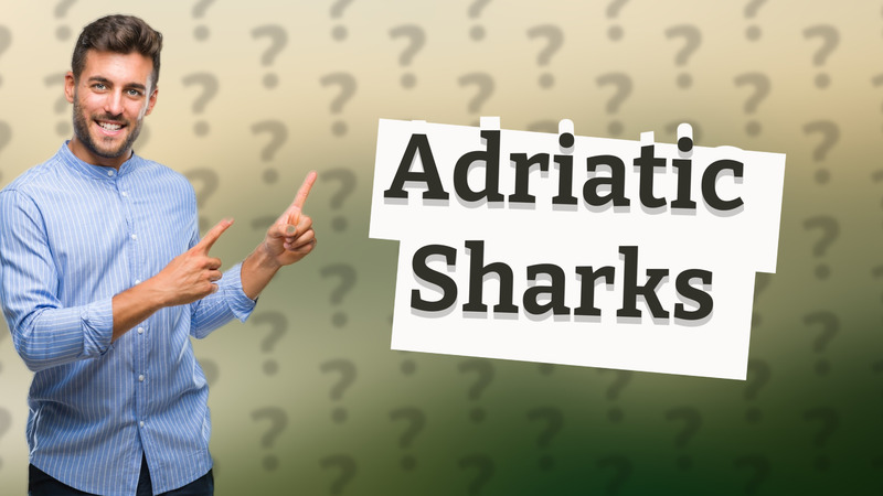Adriatic Sharks
