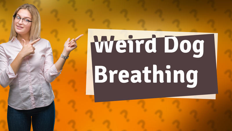 Weird Dog Breathing