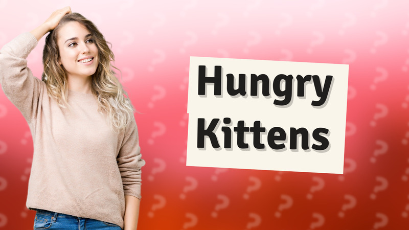 Hungry Kittens
