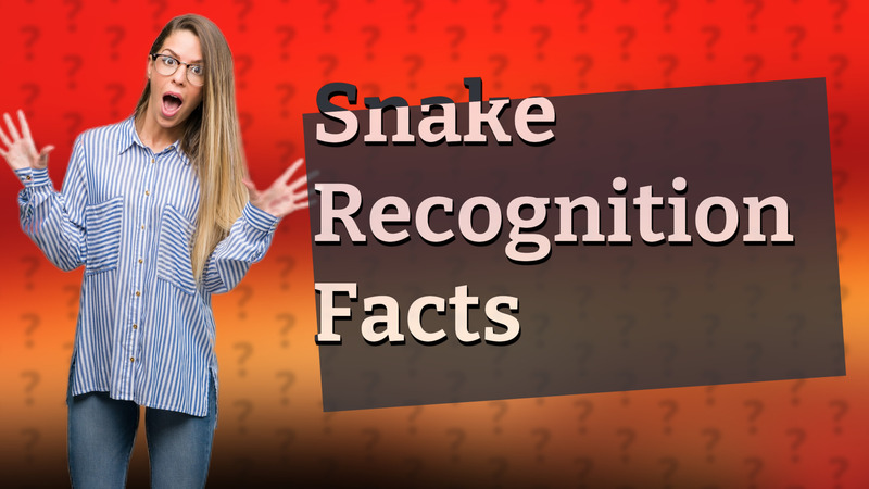 Snake Recognition Facts
