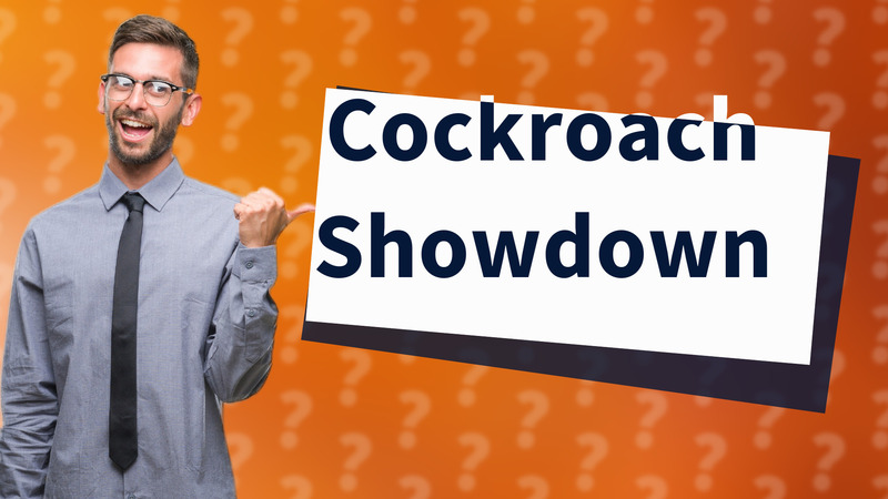 Cockroach Showdown