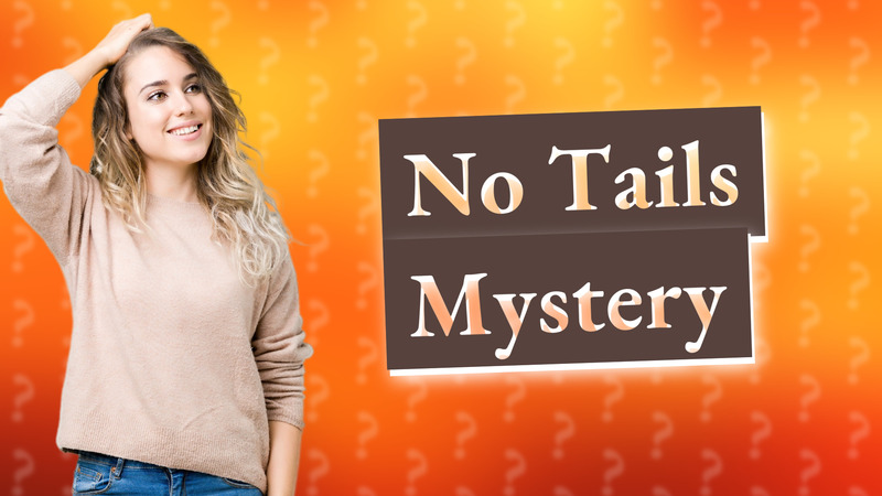 No Tails Mystery
