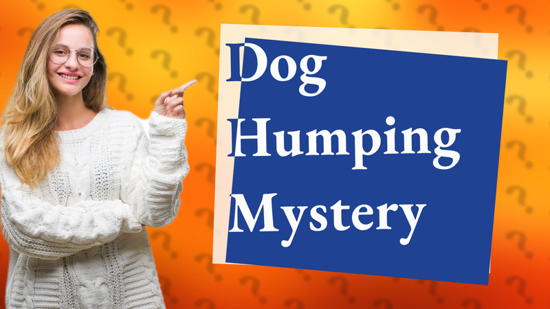 Dog Humping Mystery